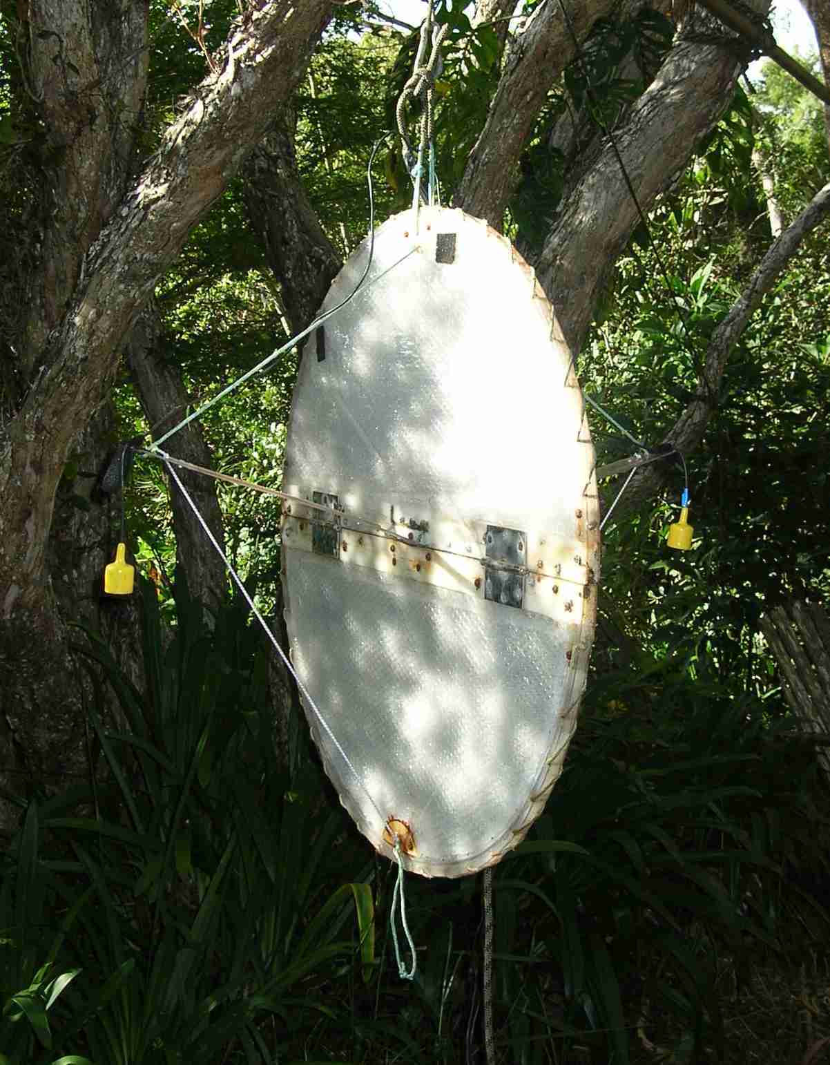 Stereo hydrophone rig